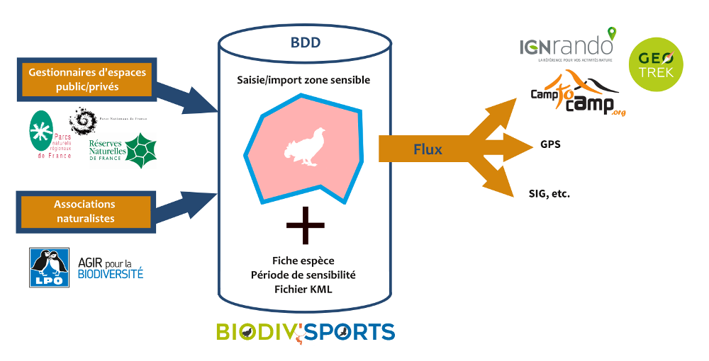 data process